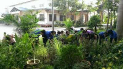 đoàn viên TH Hiệp Thành nhổ cỏ vườn cây thuốc nam