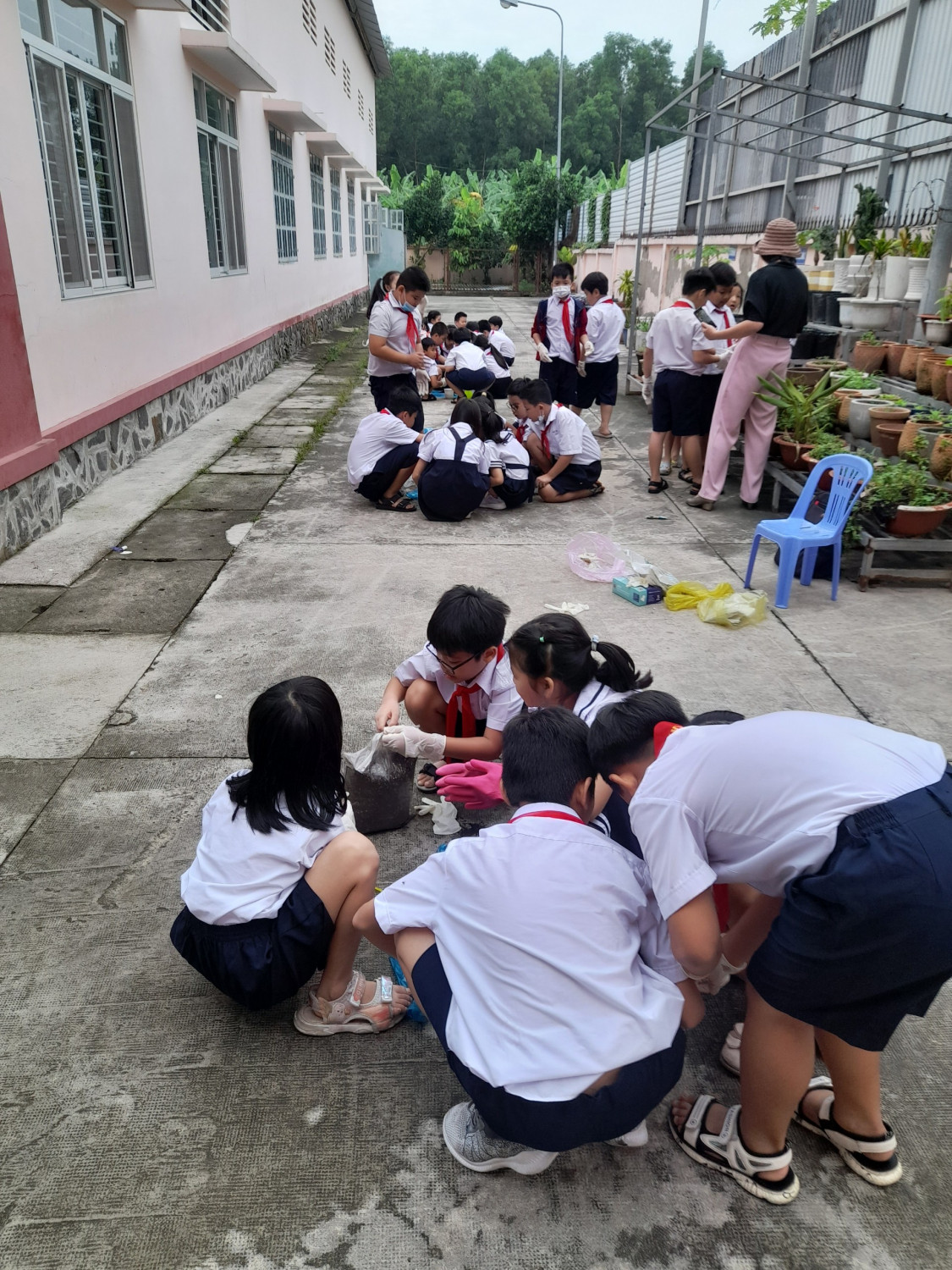 Học sinh trường tiểu học Hiệp Thành hứng thú học tập trong tiết học công nghệ.